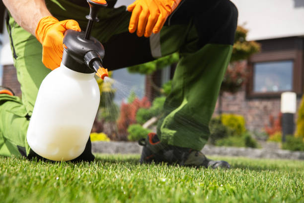 Pest Prevention Services in Gantt, SC