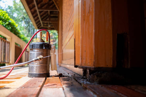 Best Pest Removal Services  in Gantt, SC