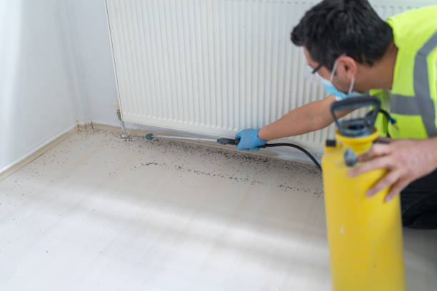 Best Exterminator Services  in Gantt, SC